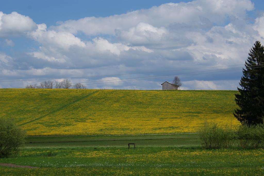 Landhaus Grobert Seeg Luaran gambar